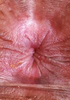 ATK Exotics: Isabella Jules (Isabella Jules is wet and ready under her skirt)