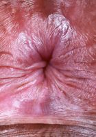 Isabella Jules from ATK Exotics