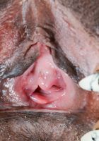 ATK Exotics: Ivy Sherwood (Ivy Sherwood in black women)