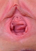 ATK Galleria: Ivy Aura (Ivy goes ass in the air for hot pink gapes)