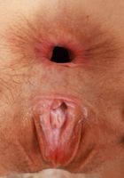 ATK Galleria: Jackie Hoff (Jackie Hoff Spreads Her Perfect Pussy)