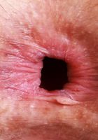 ATK Petites: Jackie Hoff (Jackie wants your thoughts on her very hairy pussy)