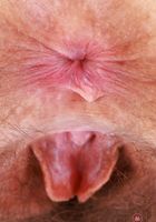 Jackie Hoff Sexy Upskirt & Stripping, Jackie Hoff (jac041) ATK Petites: Jackie Hoff (Jackie Hoff Sexy Upskirt & Stripping)