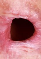 ATK Petites: Jackie Hoff (Jackie Hoff is enticing in blue lingerie)