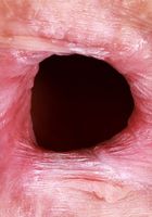 ATK Natural & Hairy: Jackie Hoff (Jackie Hoff Bikini Spreads)