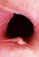 ATK Natural & Hairy: Jackie Hoff (Jackie Hoff Lingerie Stripping)