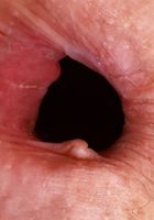 ATK Petites: Jackie Hoff (Jackie Hoff Lingerie Strip)