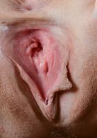 ATK Exotics: Jade Baker (Jade Baker in latinas)