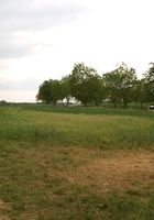 ATK Archives: Jana (Naughty nudist Jana walks around a local path nude.)