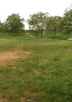 ATK Petites: Jana (Jana in nudism)