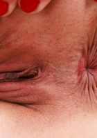 ATK Exotics: Jasmine Wilde (Jasmine Wilde Sexy Dress)