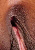 ATK Exotics: Jay Lynn (Jay Lynn in black women)