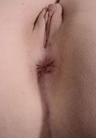 ATK Galleria: Jaycee Starr (Jaycee Starr in lingerie)