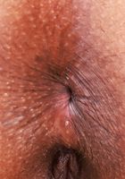 ATK Exotics: Jayne Doh (Jayne Doh has on her favorite pajamas)