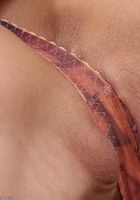 ATK Petites: Jenny (Jenny in toys)