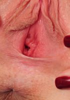 ATK Petites: Jenna J Ross (Jenna J Ross in toys)