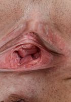 ATK Petites: Jericha Jem (Jericha Jem Strips and Spreads)