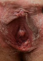 ATK Exotics: Jericha Jem (Jericha Jem in latinas)