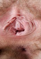 ATK Petites: Jessi Palmer (Jessi Palmer in scary hairy)