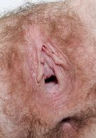 ATK Petites: Jessi Palmer (Jessi Palmer in scary hairy)