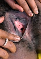 Jezebel from ATK Natural & Hairy