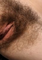 ATK Natural & Hairy: Joe (Joe in scary hairy)