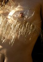 ATK Premium: Jordan (Jordan in artistic)