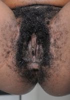 ATK Archives: Jordan Lover (Jordan Lover in)