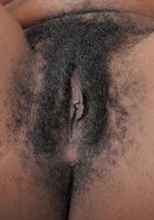 ATK Exotics: Jordan Lover (Jordan Lover is a hairy queen)