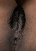 Jordan Lover from ATK Exotics