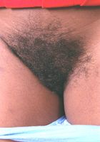 ATK Exotics: Chantel (Chantel in toys)