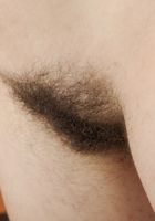 Juniper from ATK Archives