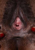 Kahlista Stonem from ATK Natural & Hairy