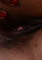 ATK Natural & Hairy: Kahlista Stonem (Kahlista Stonem in exotic and hairy)