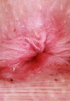 ATK Petites: Kallie Taylor (Kallie Taylor Spreads her Trimmed Pussy)