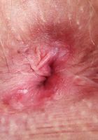 ATK Petites: Kallie Taylor (Kallie exposes her perky tits and creamy pussy.)