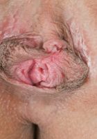 ATK Petites: Kari (Kari in uniforms)