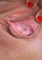 ATK Galleria: Karter Foxx (Karter Foxx is adorable)