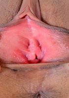 ATK Exotics: Karissa Kane (Karissa Kane in latinas)