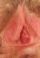 ATK Archives: Katia (Katia is bright!)