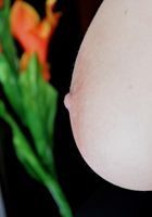 ATK Galleria: Katarina (Katarina in uniforms)