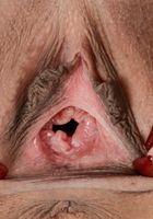 ATK Exotics: Katya Rodriguez (Katya Rodriguez in latinas)