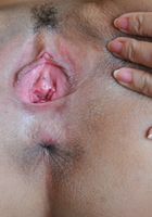 ATK Exotics: Keithlene (Keithlene in asians)