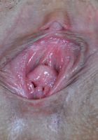 ATK Exotics: Keithlene (Keithlene in asians)