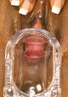 ATK Petites: Kenya (Kenya in toys)