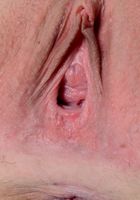 ATK Premium: Kendra Lynn (Kendra Lynn in uniforms)