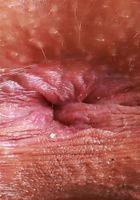 ATK Exotics: Kiana Kumani (Kiana Kumani Fishnet Bodysuit)