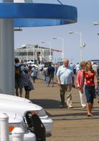 ATK Premium: Kimber (Kimber in candid)