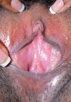 ATK Exotics: Kimmy Katt (Kimmy Katt's pussy loves the attention)