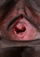 ATK Exotics: Kinsley Karter (Kinsley Karter in black women)